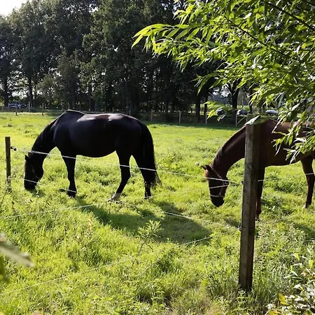 22 - Woonboerderij Haaren (North Brabant)
