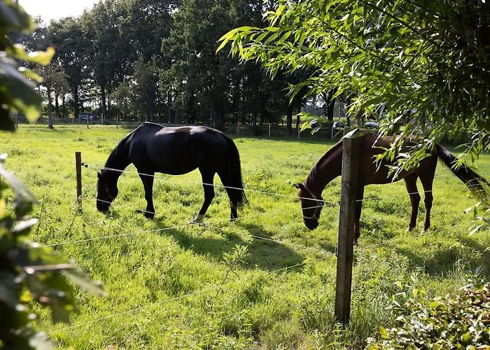 22 - Woonboerderij Haaren (North Brabant)