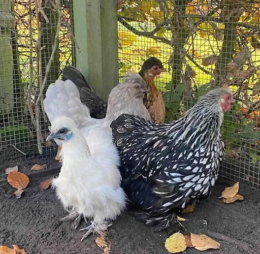 Appartamento 22 - Woonboerderij Haaren (North Brabant)